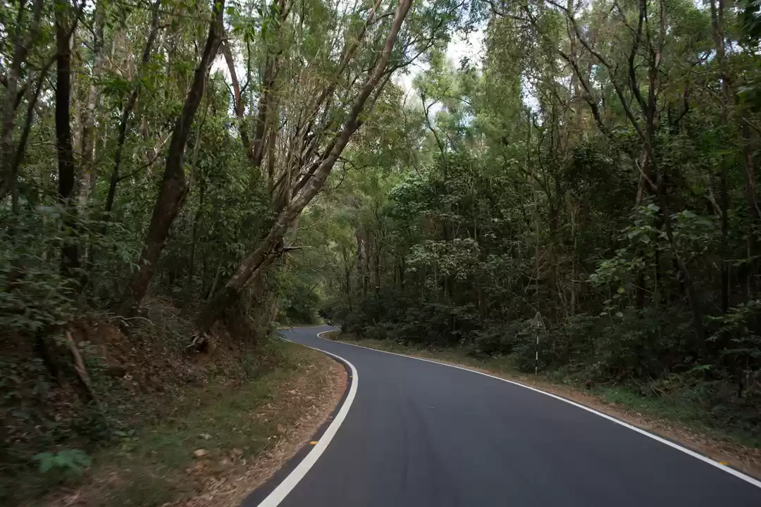 Take a Road Trip to Chorla Ghat in Goa during Monsoon