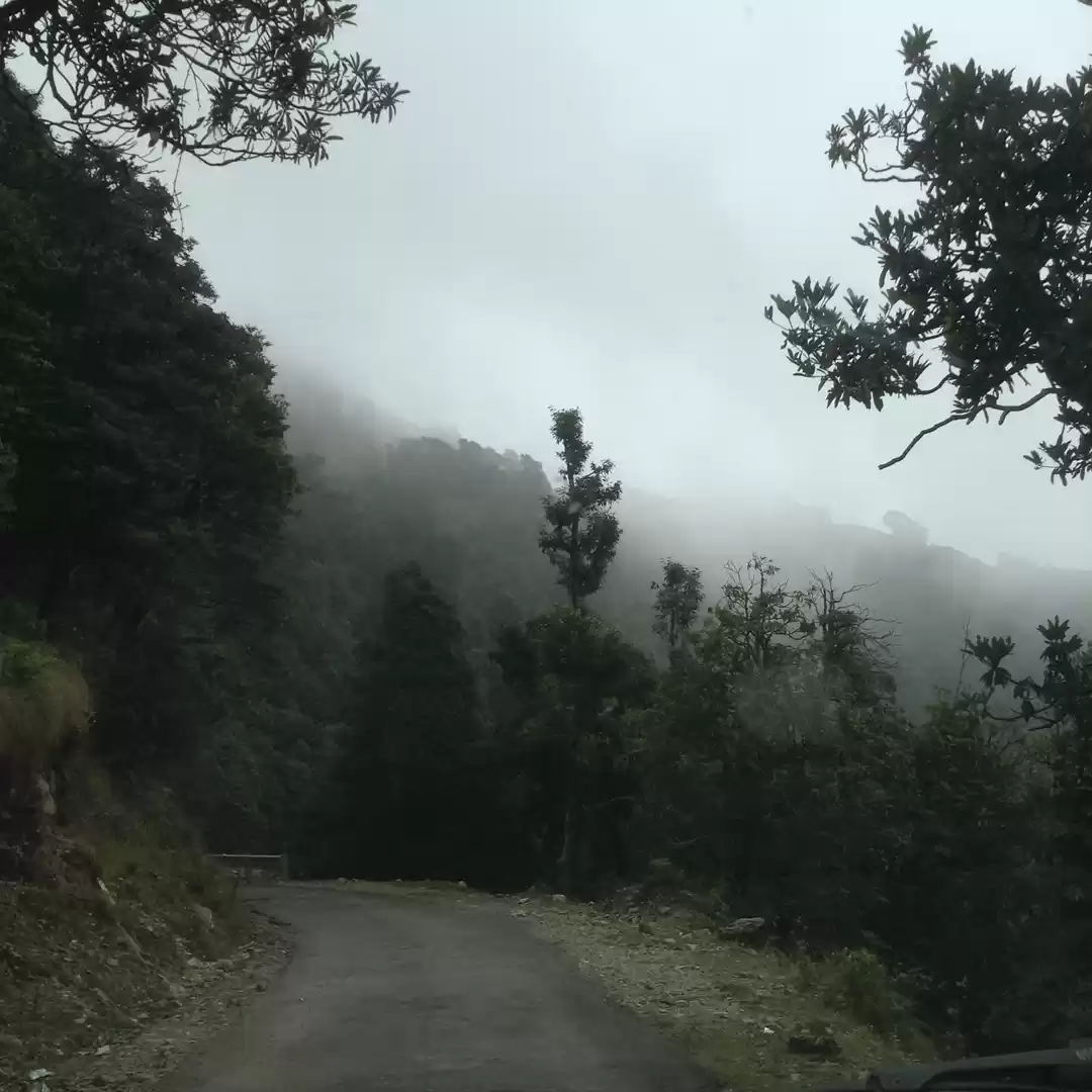 Photo of Got my own wings and