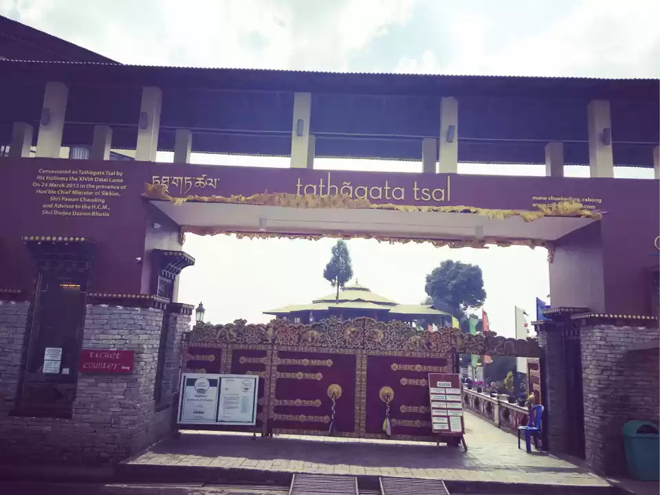 Photo of More Than A Park - T