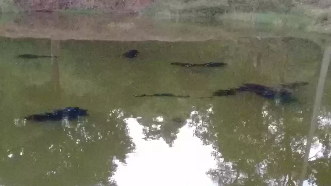 Photo of Sakleshpur - A hidde