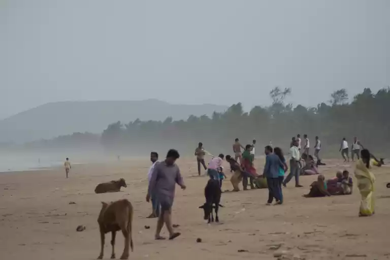 Photo of Gokarna - The Poor m