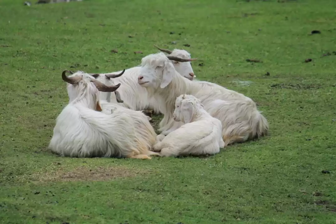 Photo of Miracle or Happensta