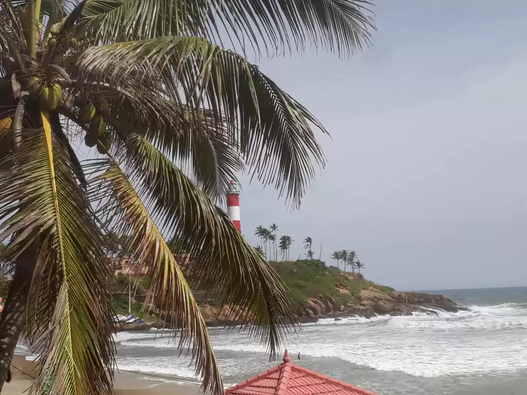 Photo of Kovalam: the luxury 