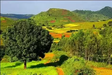 Photo of Tunnels & bridges, e