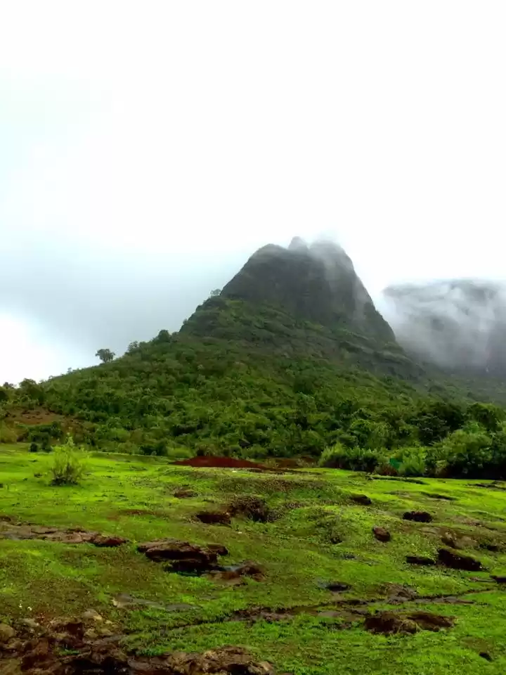 Photo of Trek tale!! 2300 ft.