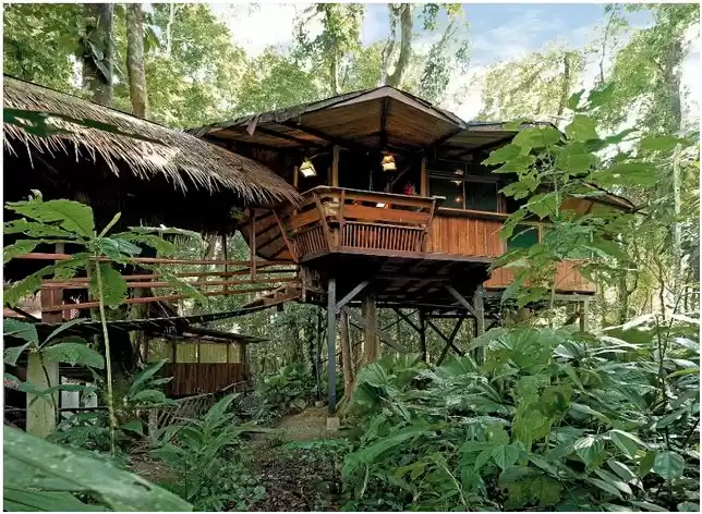 Photo of Best Three Treehouse