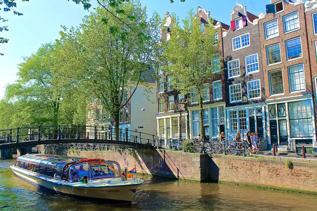 Photo of Top 5 things to do i