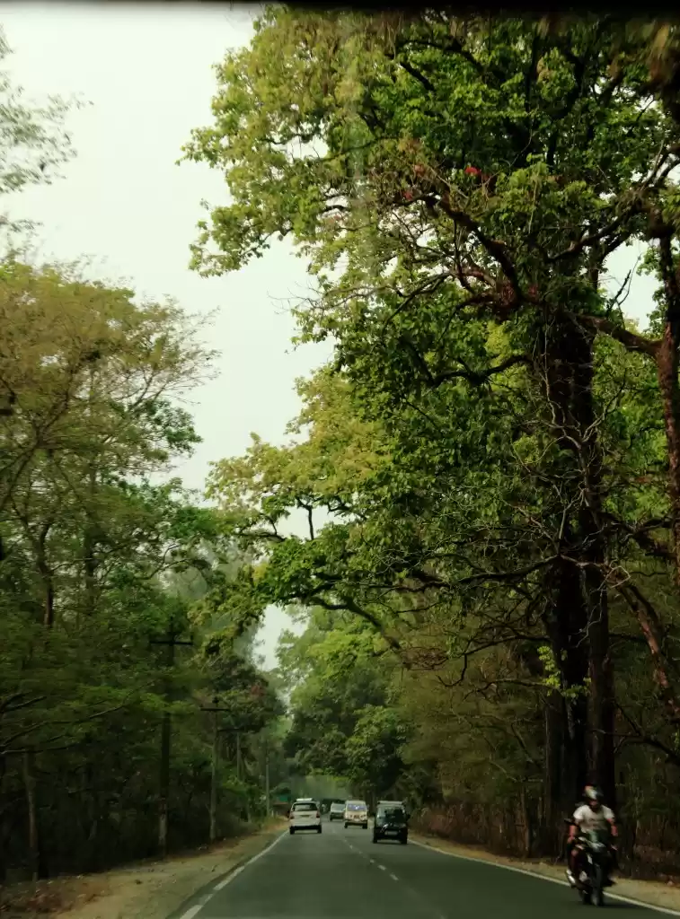 Photo of A hamlet called Tinc