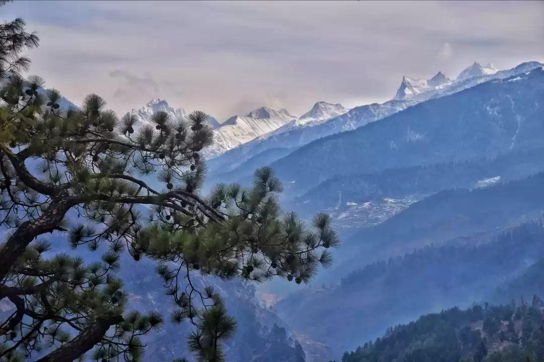 Photo of A call of the mounta