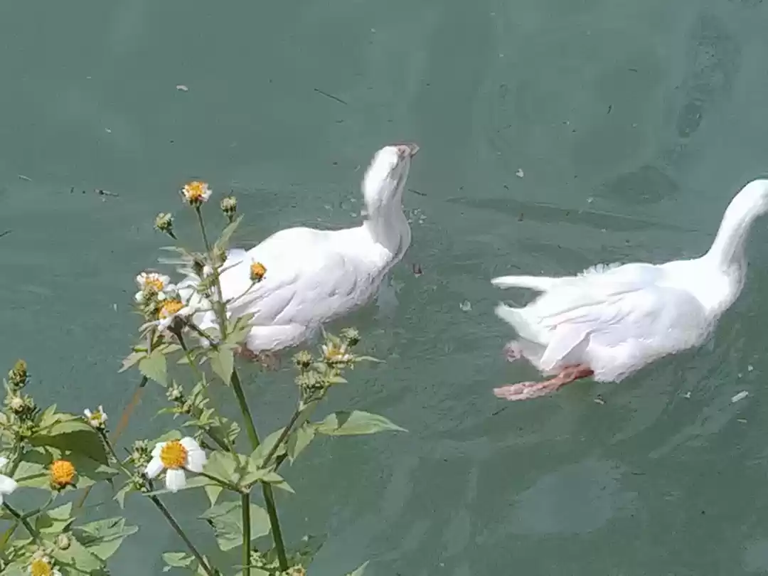 Photo of Weekend Exploration