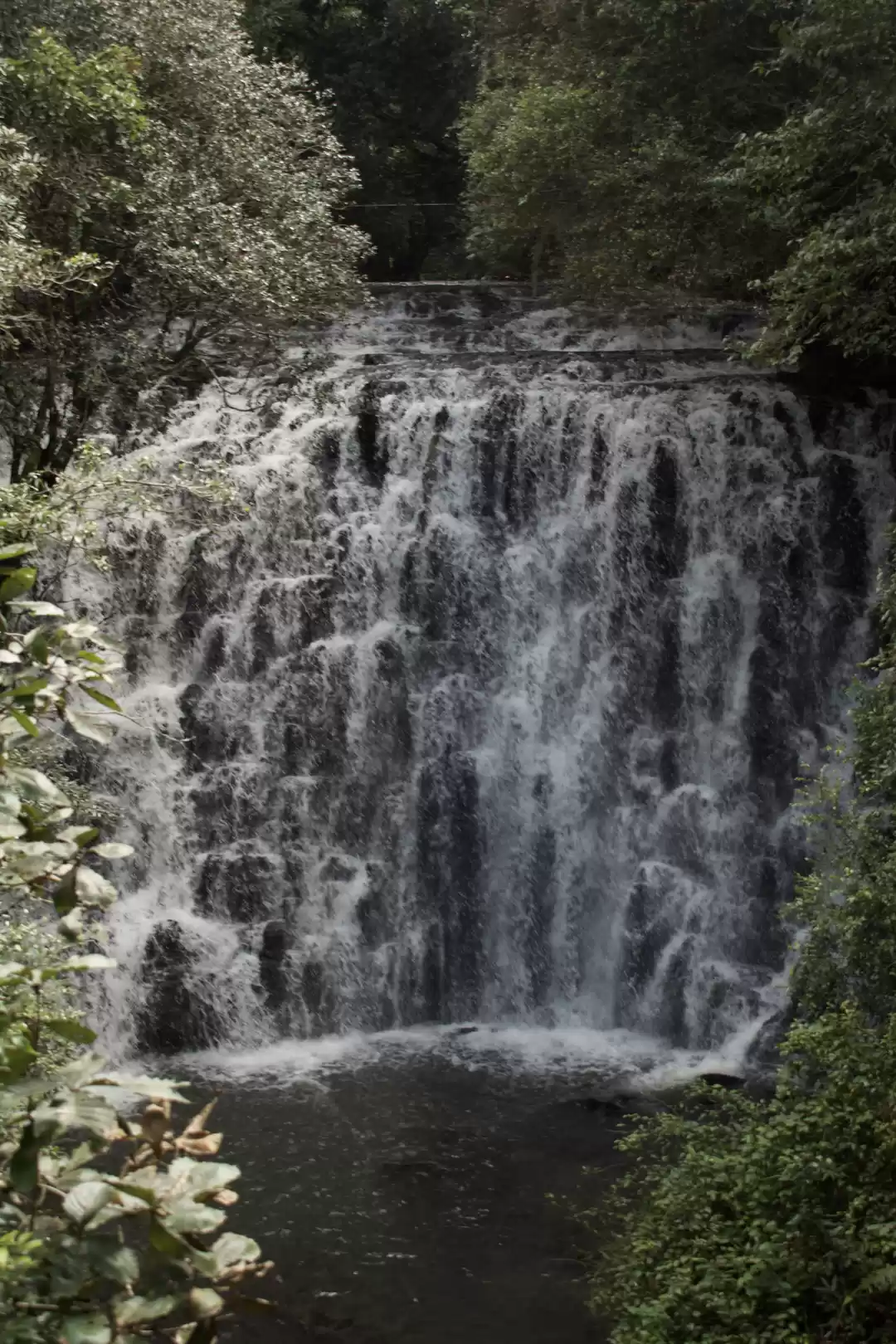 Photo of Inching closer to Mo