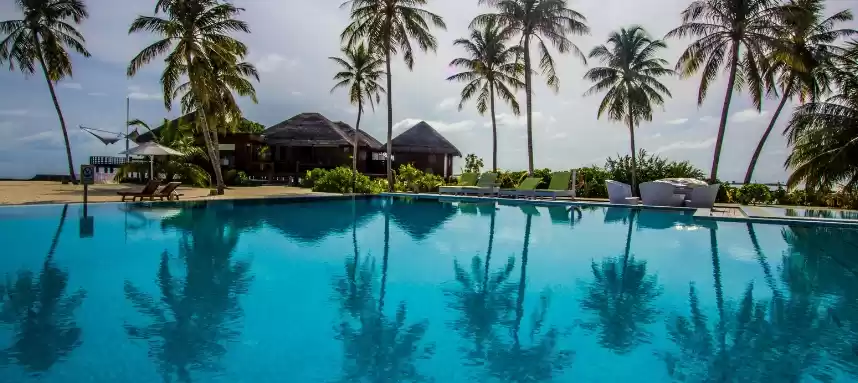 Photo of Free items to take f