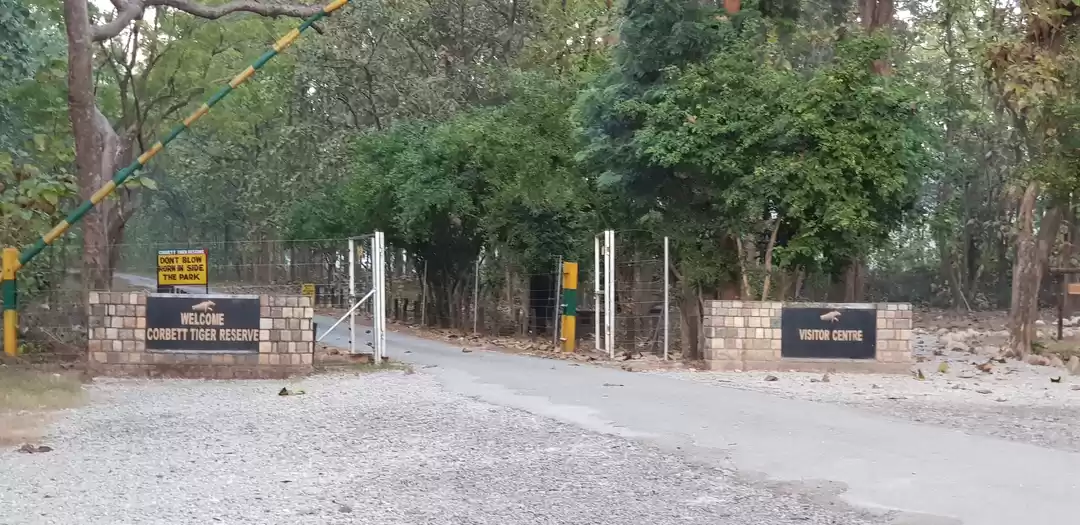 Photo of Journey to Dhikala (