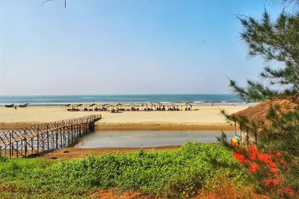 Veg and Sea Beach Resort in Mandrem, India - reviews, prices | Planet of  Hotels