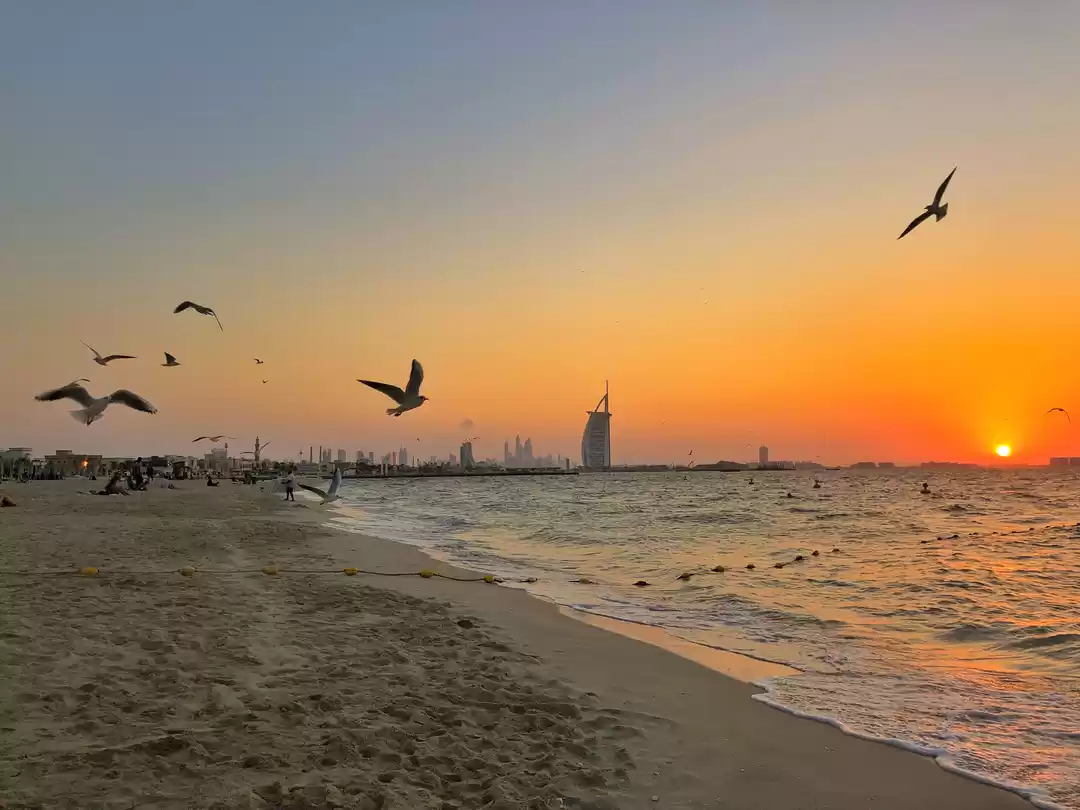 Photo of Dubai: All Things To