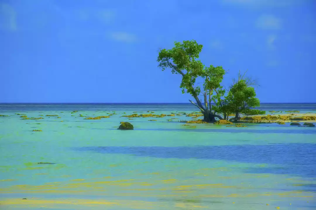 Photo of Havelock or Swaraj D