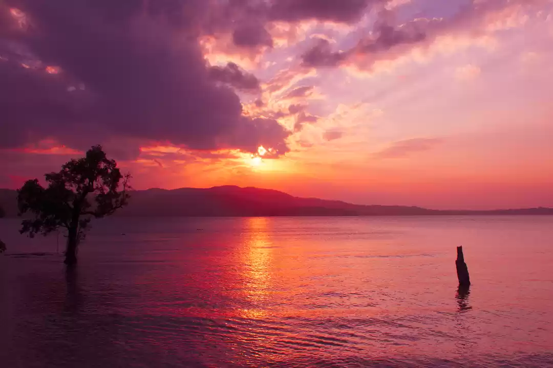 Photo of A day trip to Mahatm