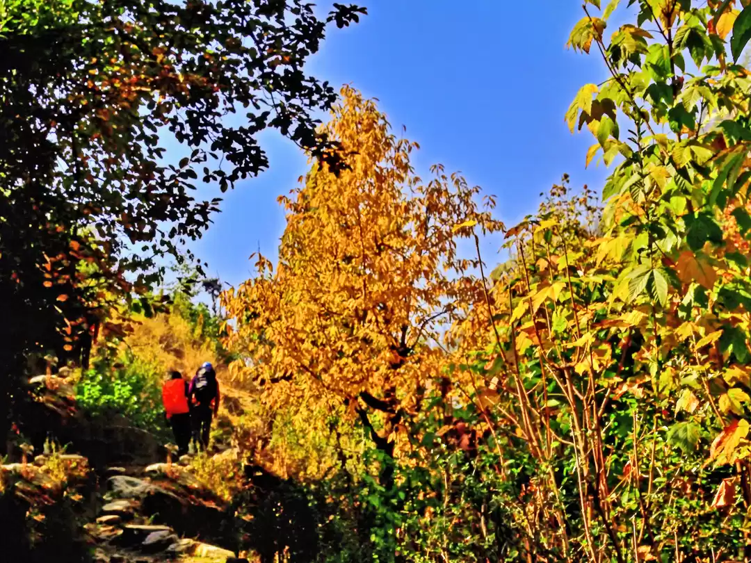 Photo of If You Are a Nature 