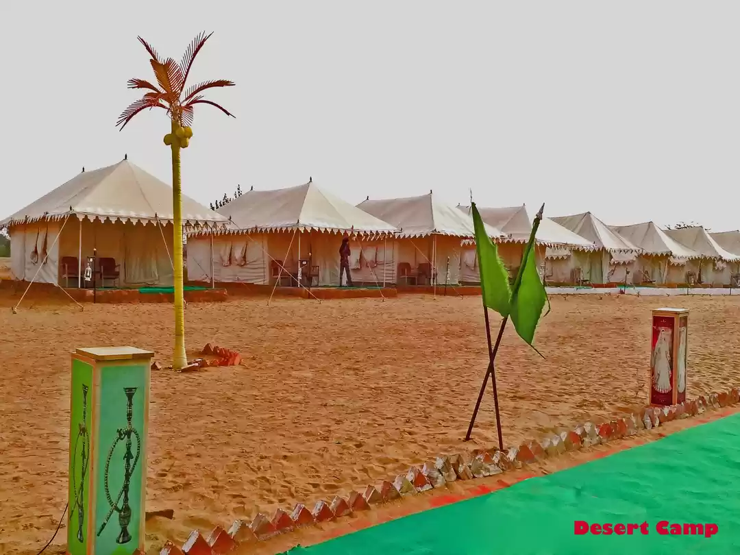 Photo of These Camps in the T