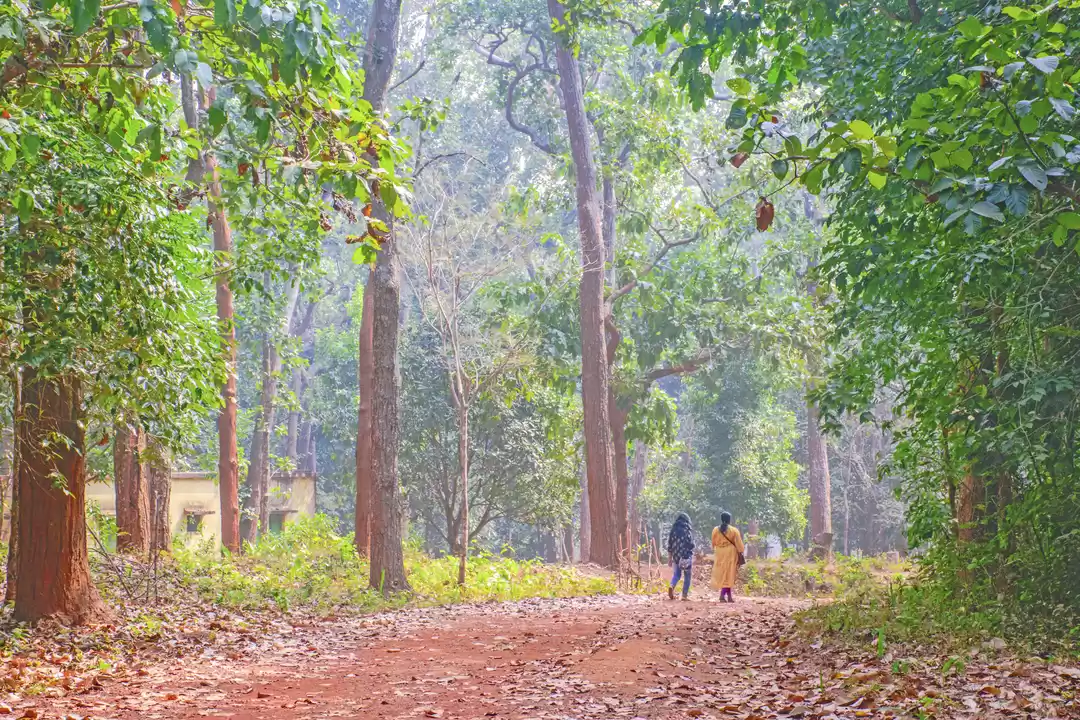 Photo of A Short Trip to the