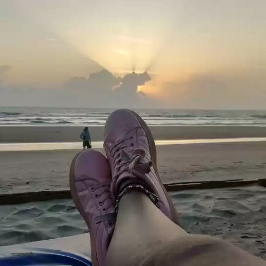 Photo of Food Forts and Fores