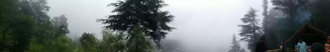 Photo of The land amidst the 