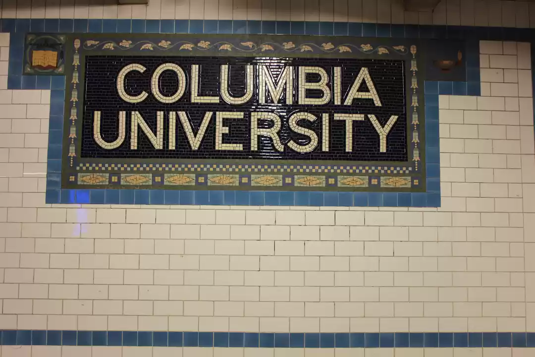 Photo of A Hearty Subway Inte