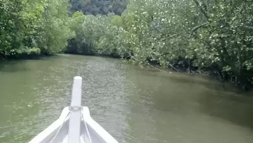 Photo of A Day and Three Quar