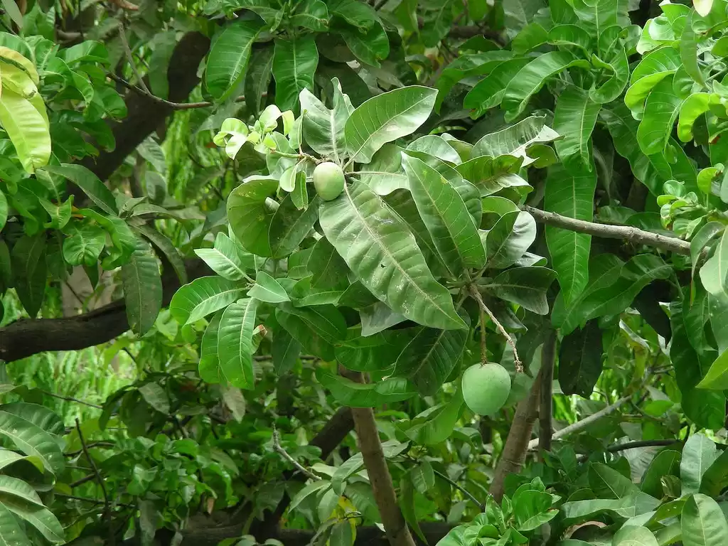 Photo of Part of Ratnagiri To