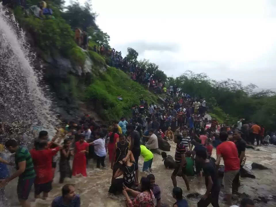 Photo of These Volunteers Cle