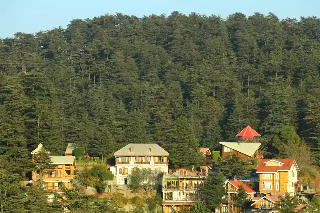 Photo of Hidden In The Dense