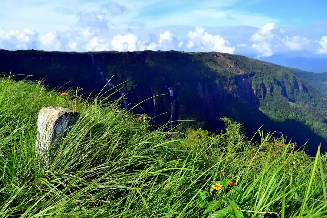 Photo of Postcards from Cherr