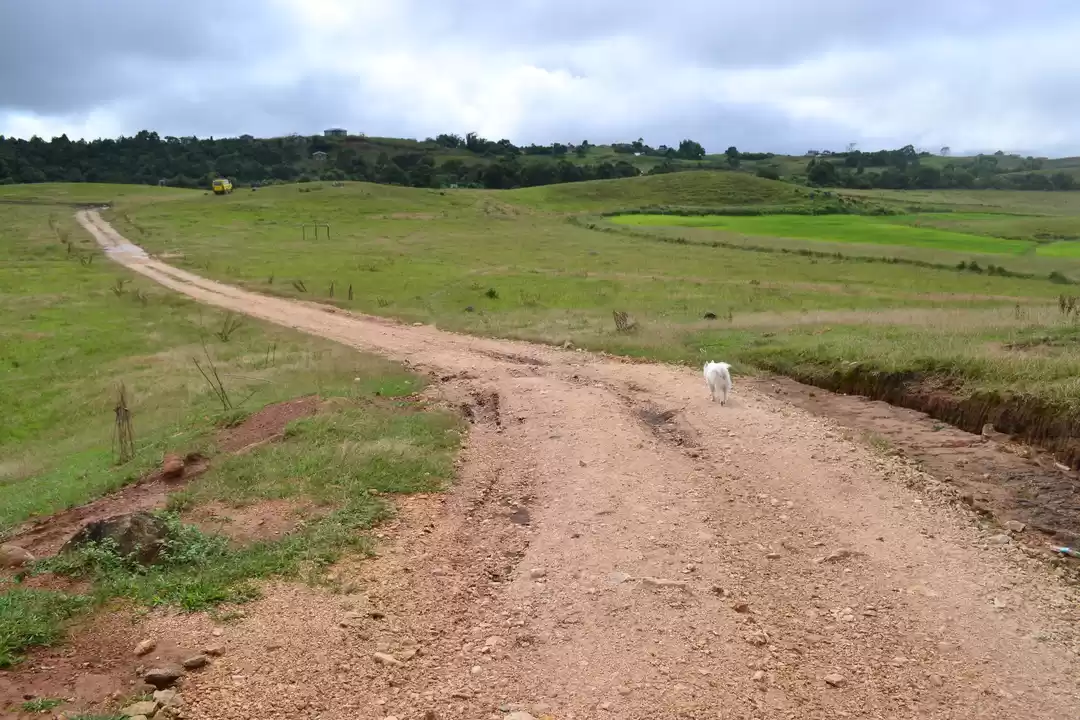 Photo of Tissu's Day In Parad