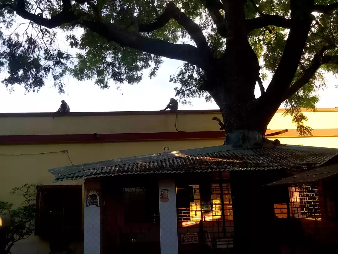 Photo of Shanti-niketan..