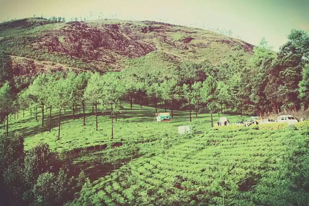 Photo of A trip to South Indi