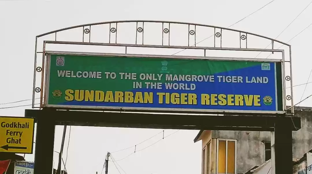 Photo of Sundarban "World's l