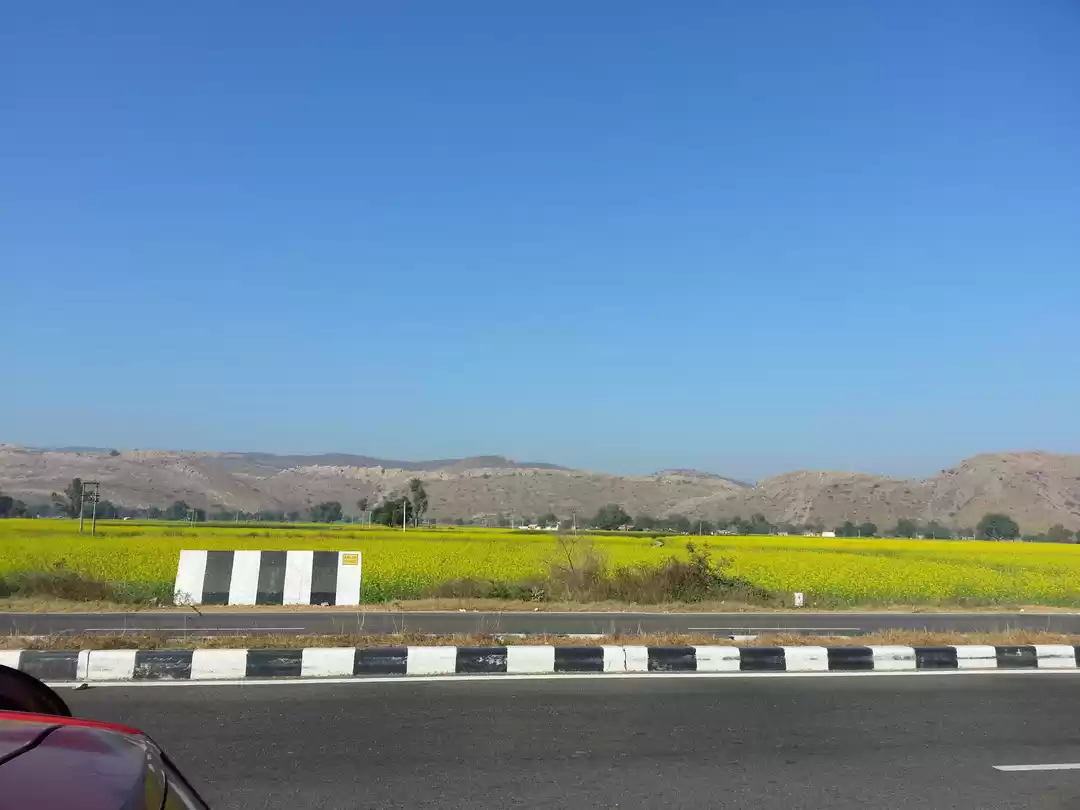 Photo of Our Magnificent Yet 