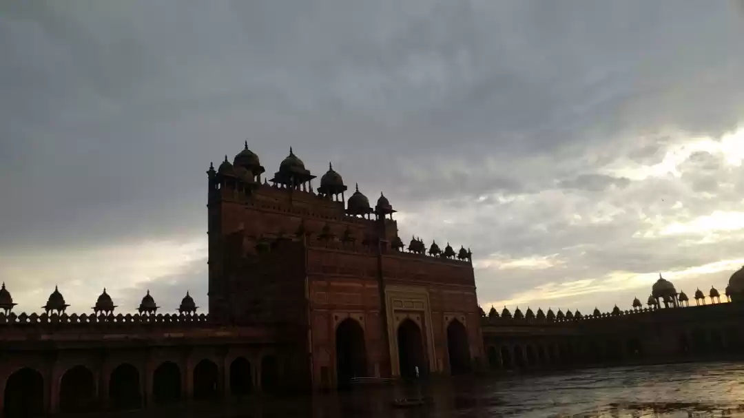 Photo of Wildlife santury bar