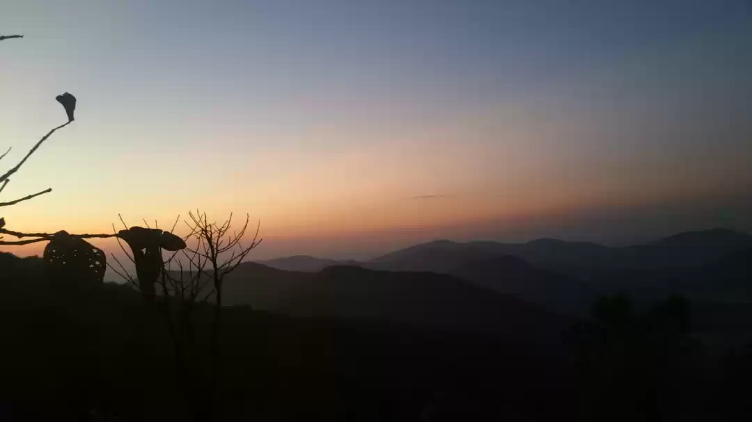 Photo of Wanderer Wondering i