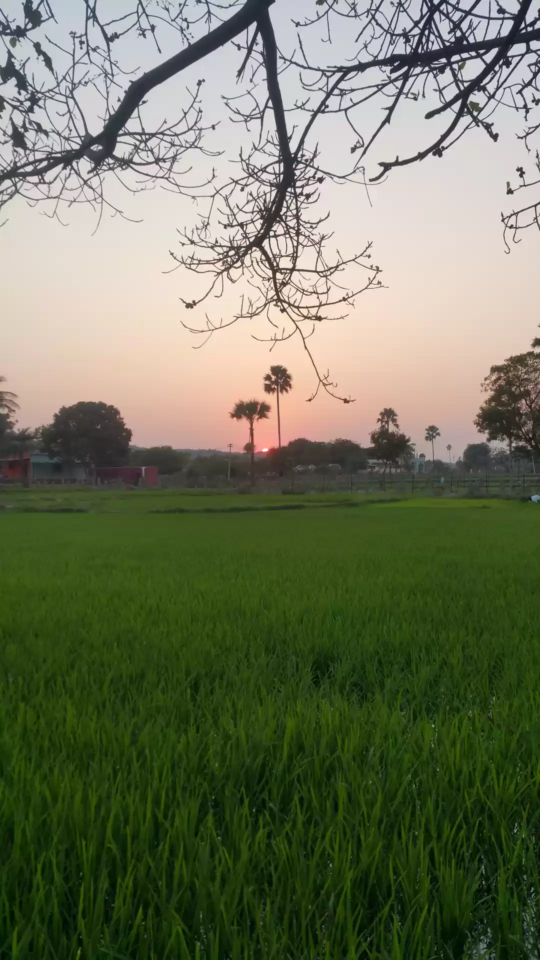 Photo of A day with nature