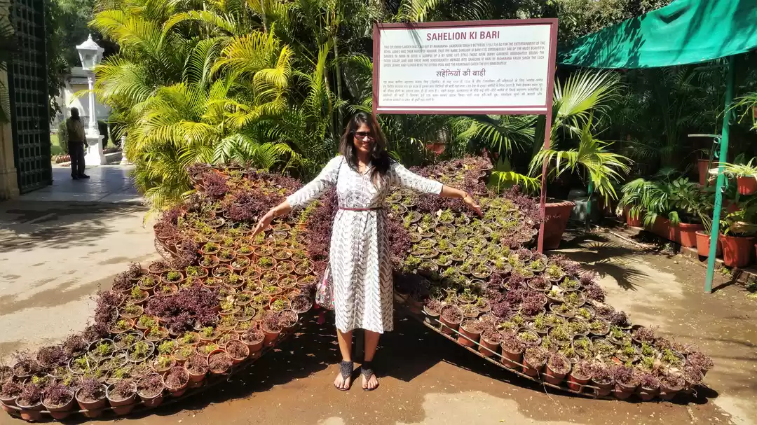 Photo of Udaipur- the white c