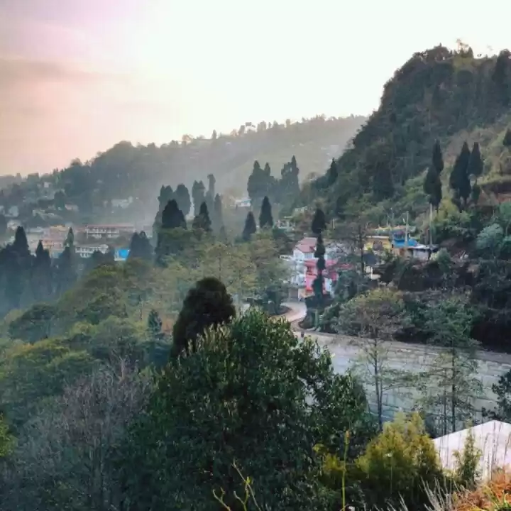 Photo of Finding Darjeeling!