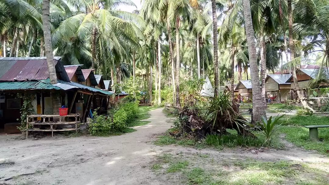 Photo of Havelock Island: If 