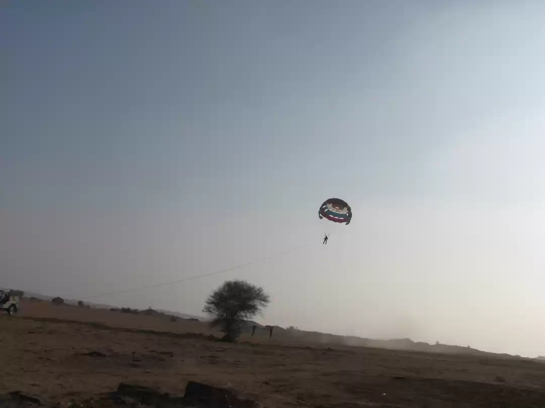 Photo of The Land of the King