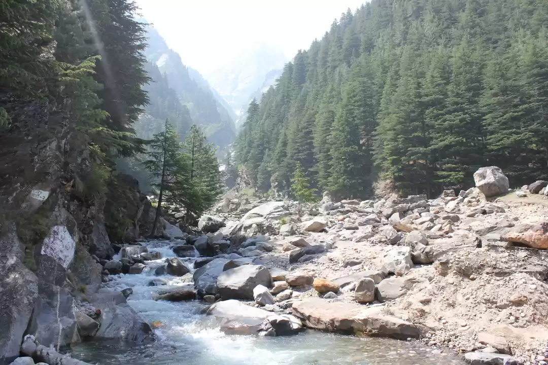 Photo of A Journey, where mou