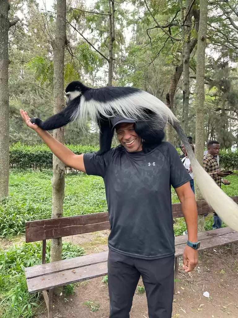 Photo of See Colobus Monkeys