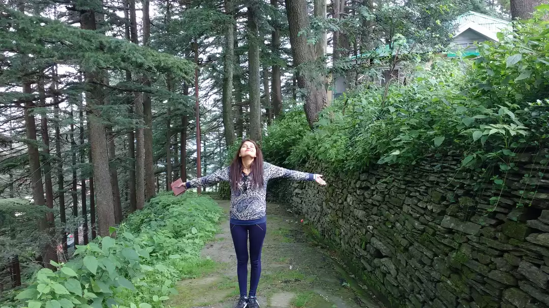 Photo of Chail: A tryst with