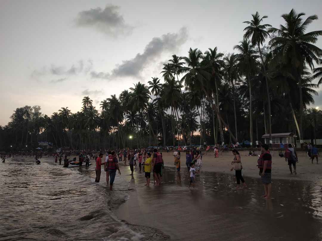Photo of Don’t forget to include this rare, hidden gem in your travel plans when in Port Blair!!!