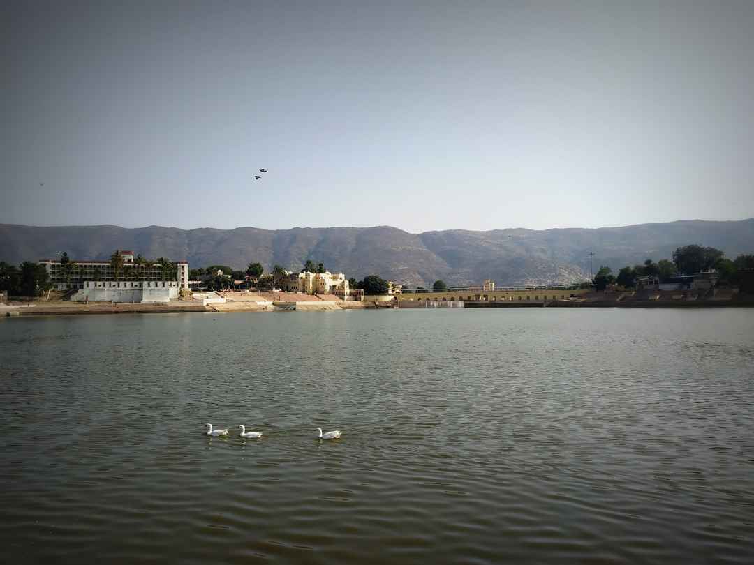 Photo of I travelled to Pushkar on my birthday and got to know its shady secret