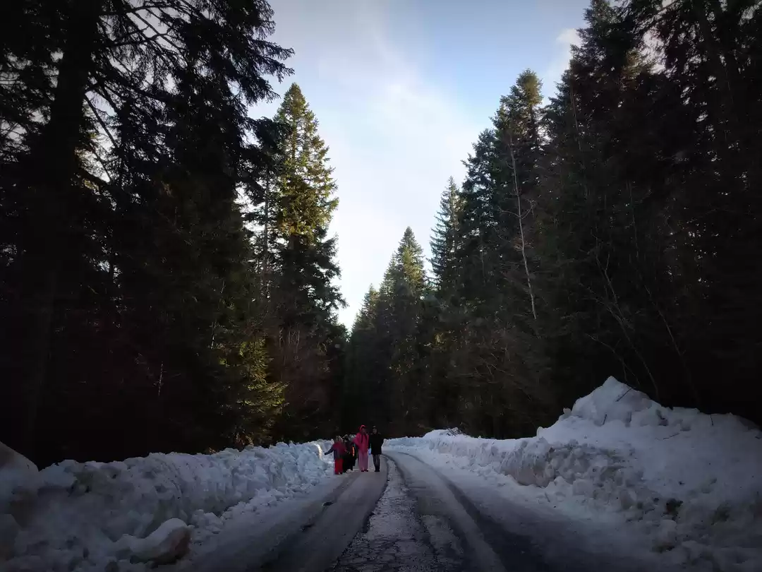 Photo of Serbia Diaries Final